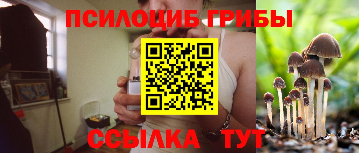 Псилоцибиновые грибы GOLDEN TEACHER Курган